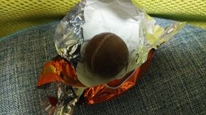 s-IMG_20200201_170656