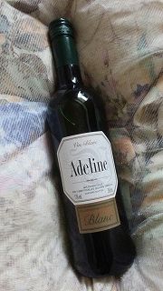 IMG_20160306_081751