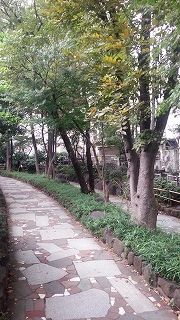 IMG_20151018_111152