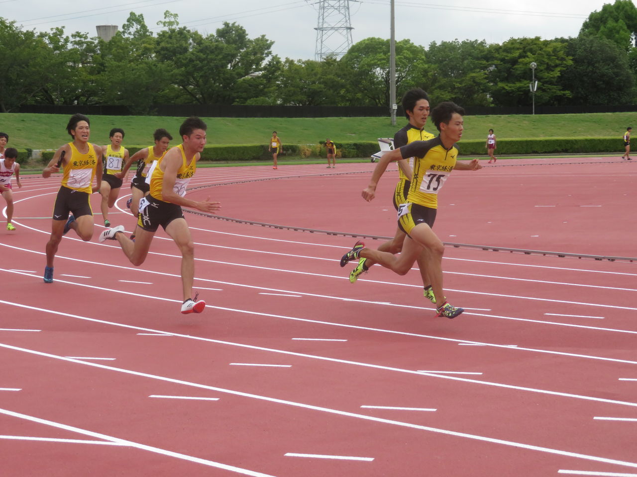 第66回大阪経済大学定期対校戦結果 8 金岡公園陸上競技場 東京経済大学体育会陸上競技部 コーチ日誌