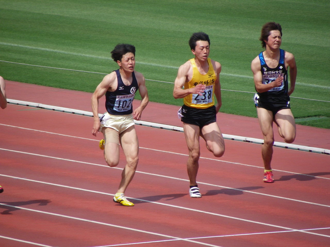 関東インカレフォト 東京経済大学体育会陸上競技部 コーチ日誌