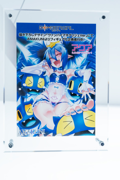 Hobby JAPAN-0053