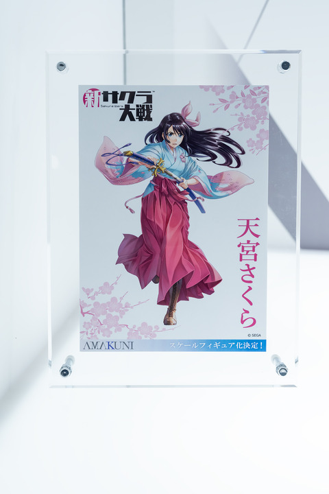 Hobby JAPAN-0070