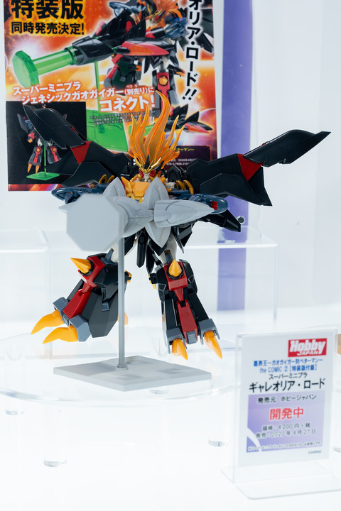 Hobby JAPAN-0098