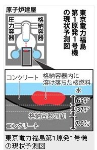 11月30日 東電メルトダウン解析