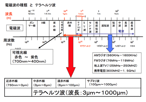 illust06