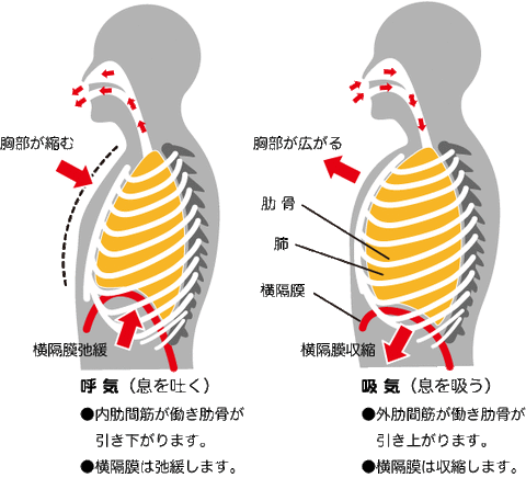 kokyuu