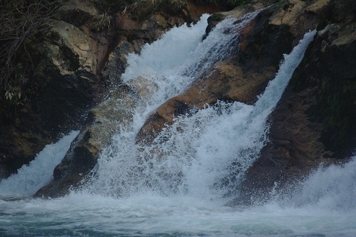 IMGP3234