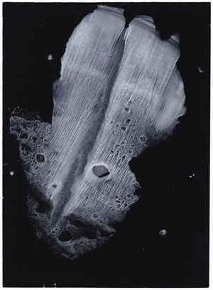41_III-23