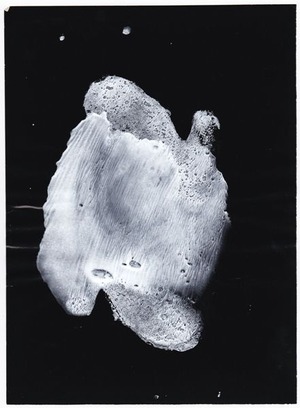 46_III-33