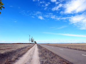 ˧�����Ϻ�Υ��å�����El Camino�ʥ��롦���ߡ��Ρ� �ͤ��⤤��1600km����20��