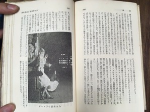 写真6