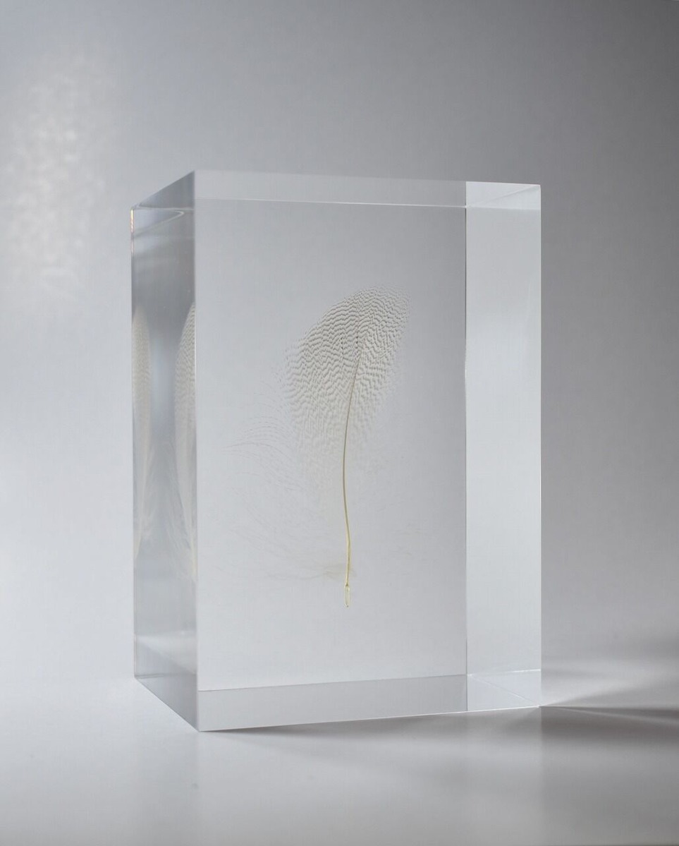 Floating Feather¡ÊÇò¡Ë