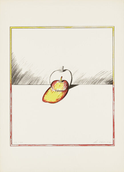 sekine_22_ringo