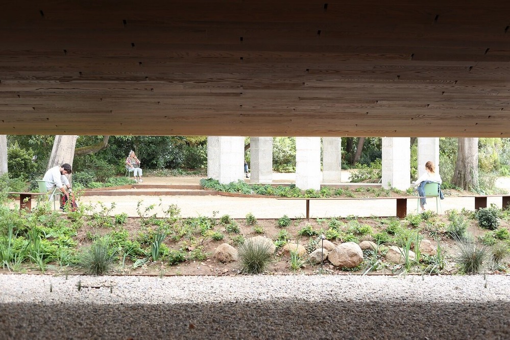 ��ƣ��¿�Υ��å����������ΤΥե������ɡ��ݥݥ�ȥ���ǻפ����ȡݡ���16��