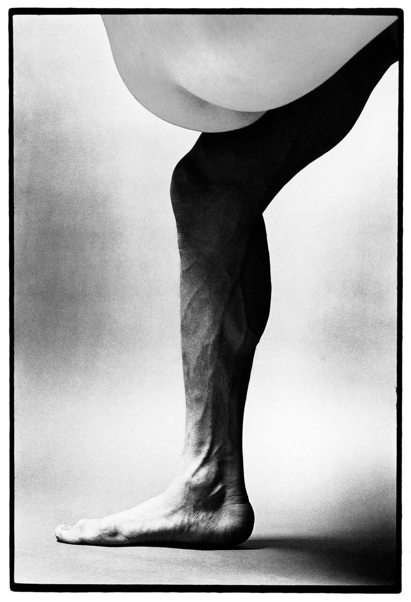 ÊúÍÊ#431970_