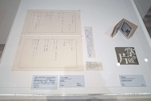 図24掌中破片1