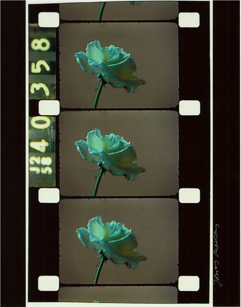 0909-20 (1)