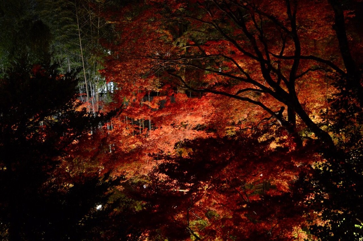 北野天満宮1