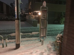 IMG_0595