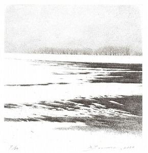 363_Ḛ̈Þ40ÅÙV_tri