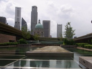 RIMG0395_600