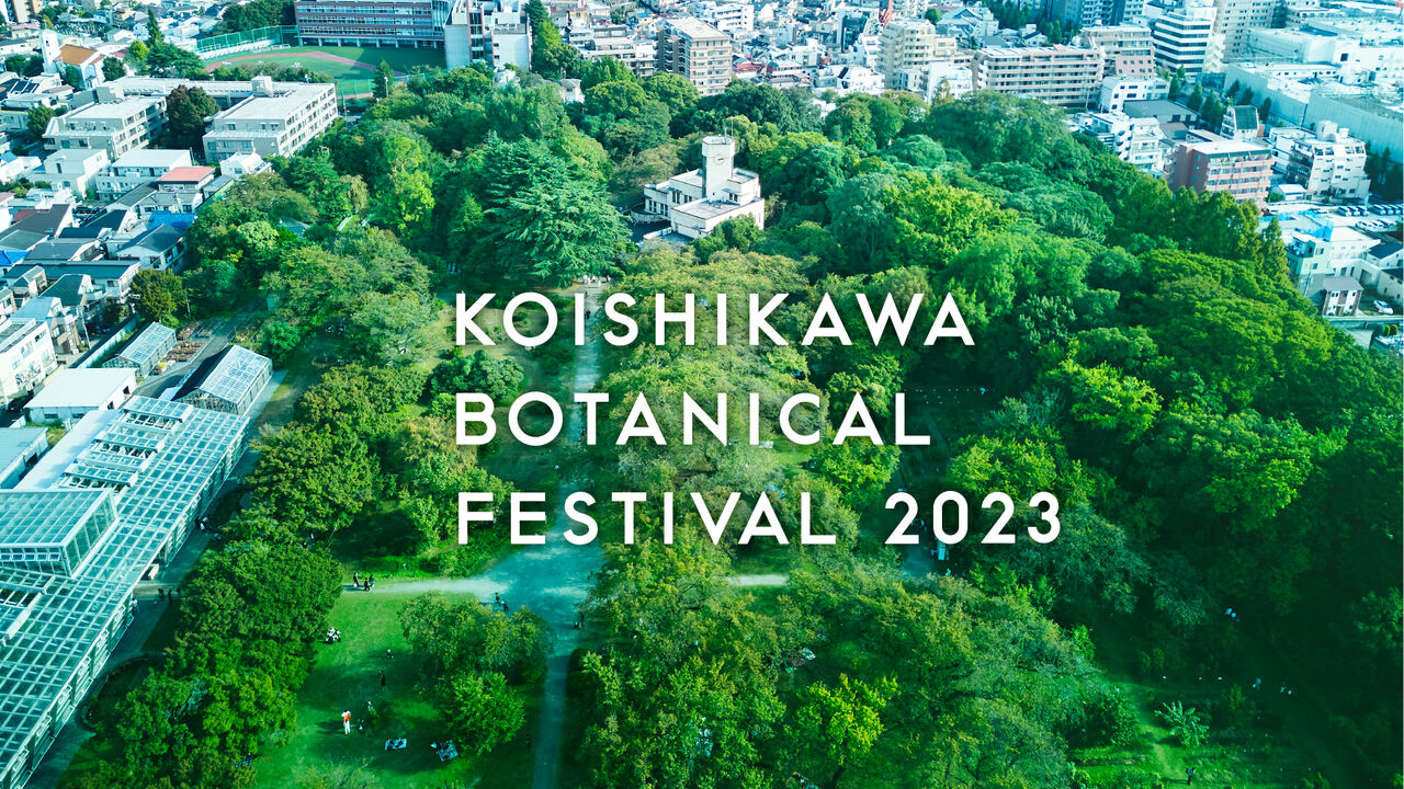�����ʪ��2023�ᥤ��ӥ��奢��