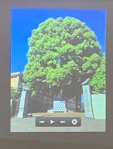 20190623ÅÚÞ¼¿®É§¿Þ£±£²