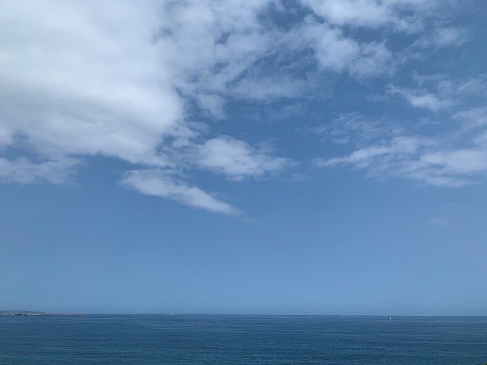 Artists Recently ��25�󡿺���ʸ��