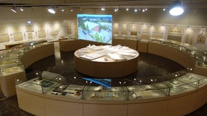 ƣ�ܵ��ҤΥ��å����ַ��۷����̿�����18��