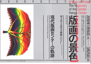 ºë¶Ì¥Á¥é¥·AY-O600
