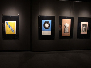 manray27-17