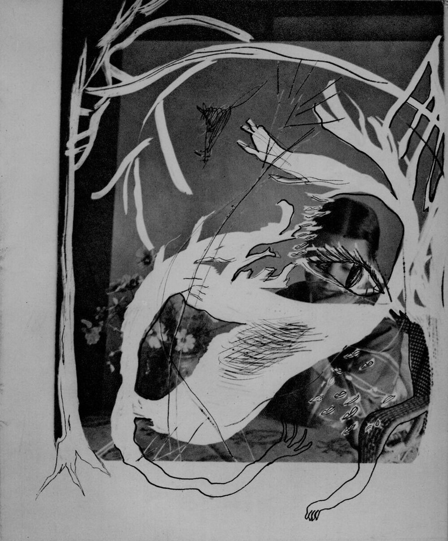 fig.5