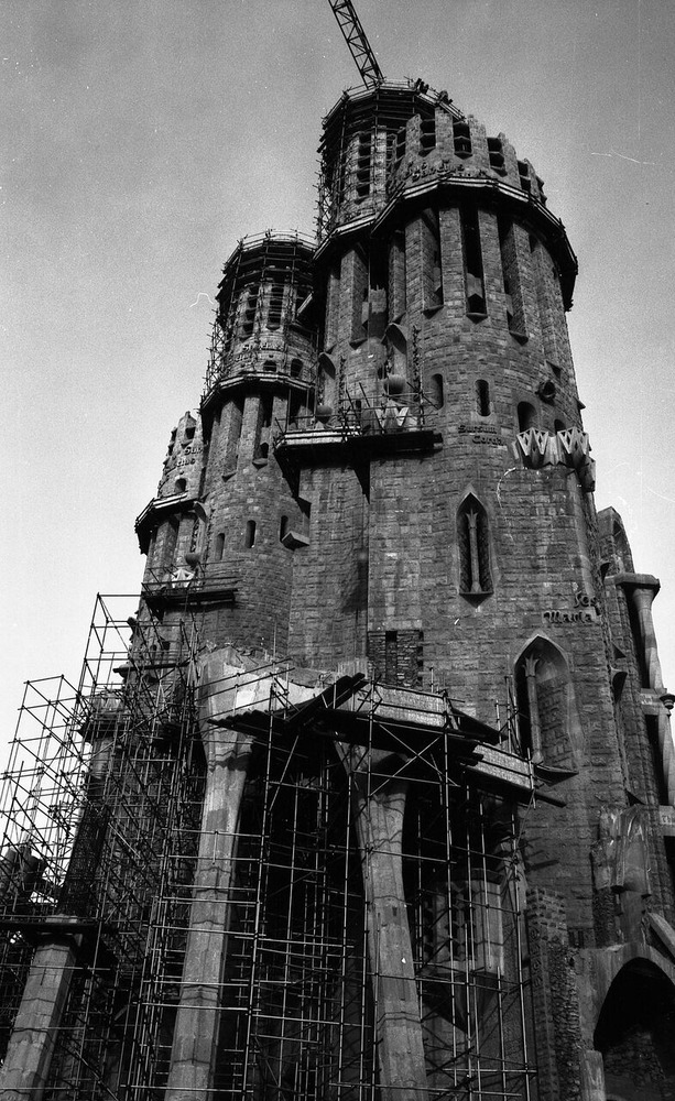 ðΥå֥ǥγХ륻ʤפ13 եߥꥢ (1)