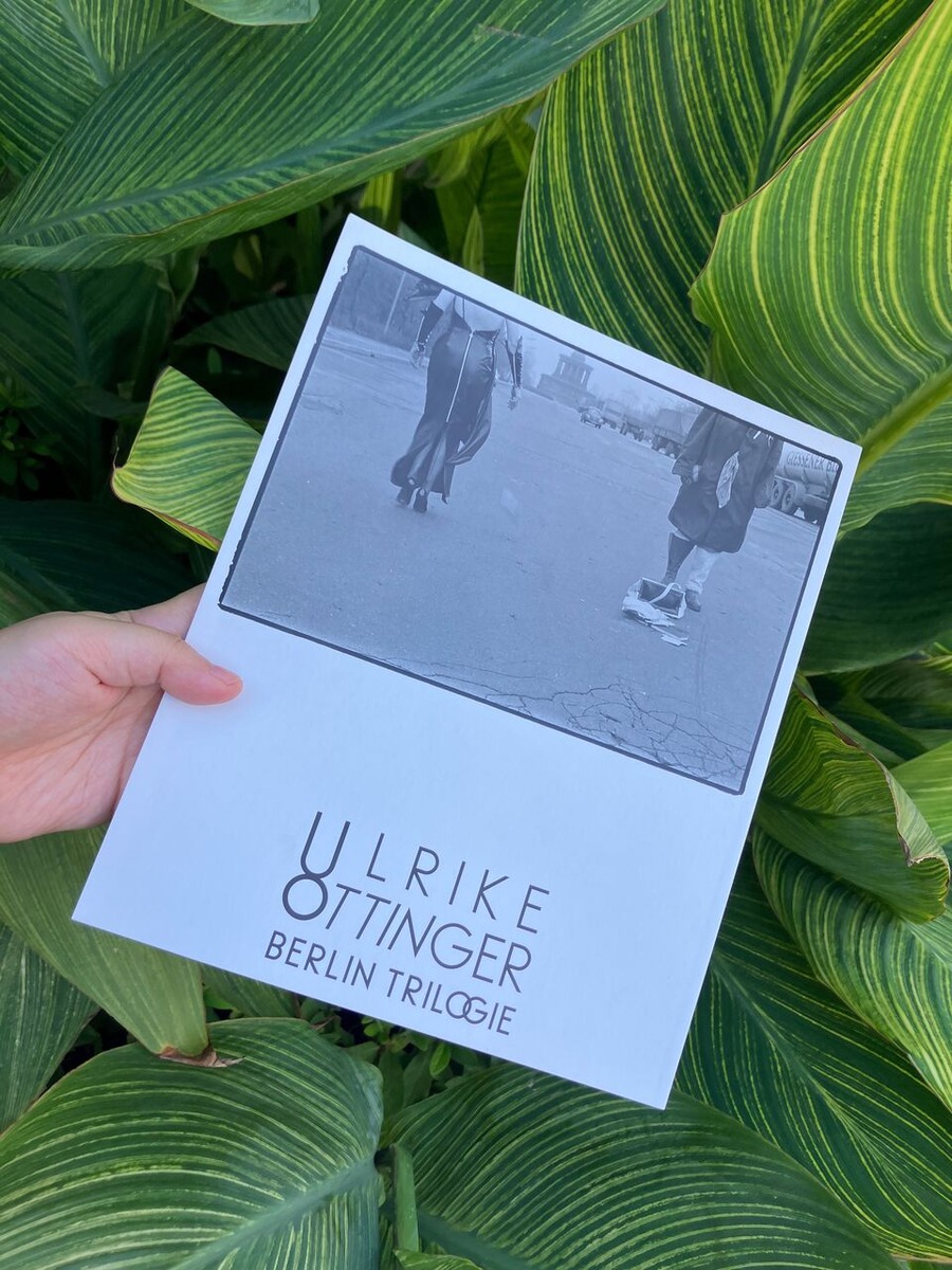 ��;µ����Υ��å�������������Ⱦ������19��إե꡼����������ɡ١إѥȥꥷ�����ϥ����ߥ��������ơ�