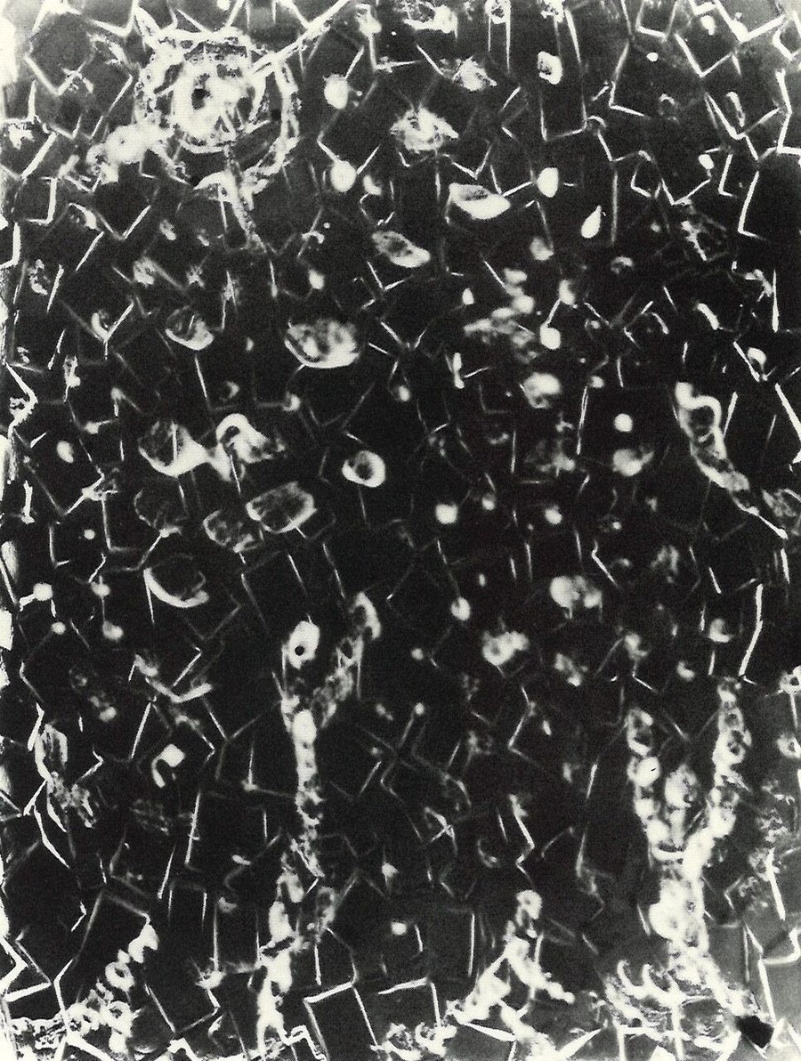 fig.4