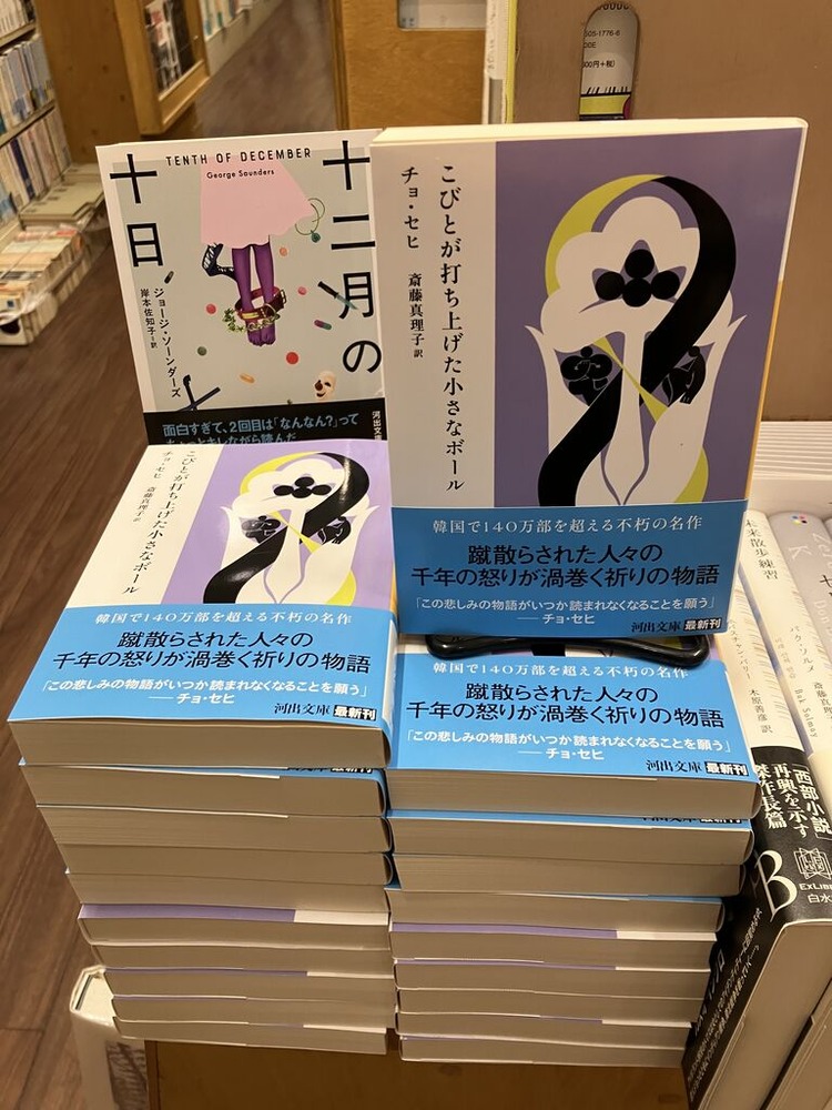 ���񵮻ʤΥ��å����֤��������ܲ��������������65��