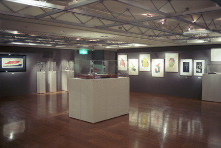 manray14-4