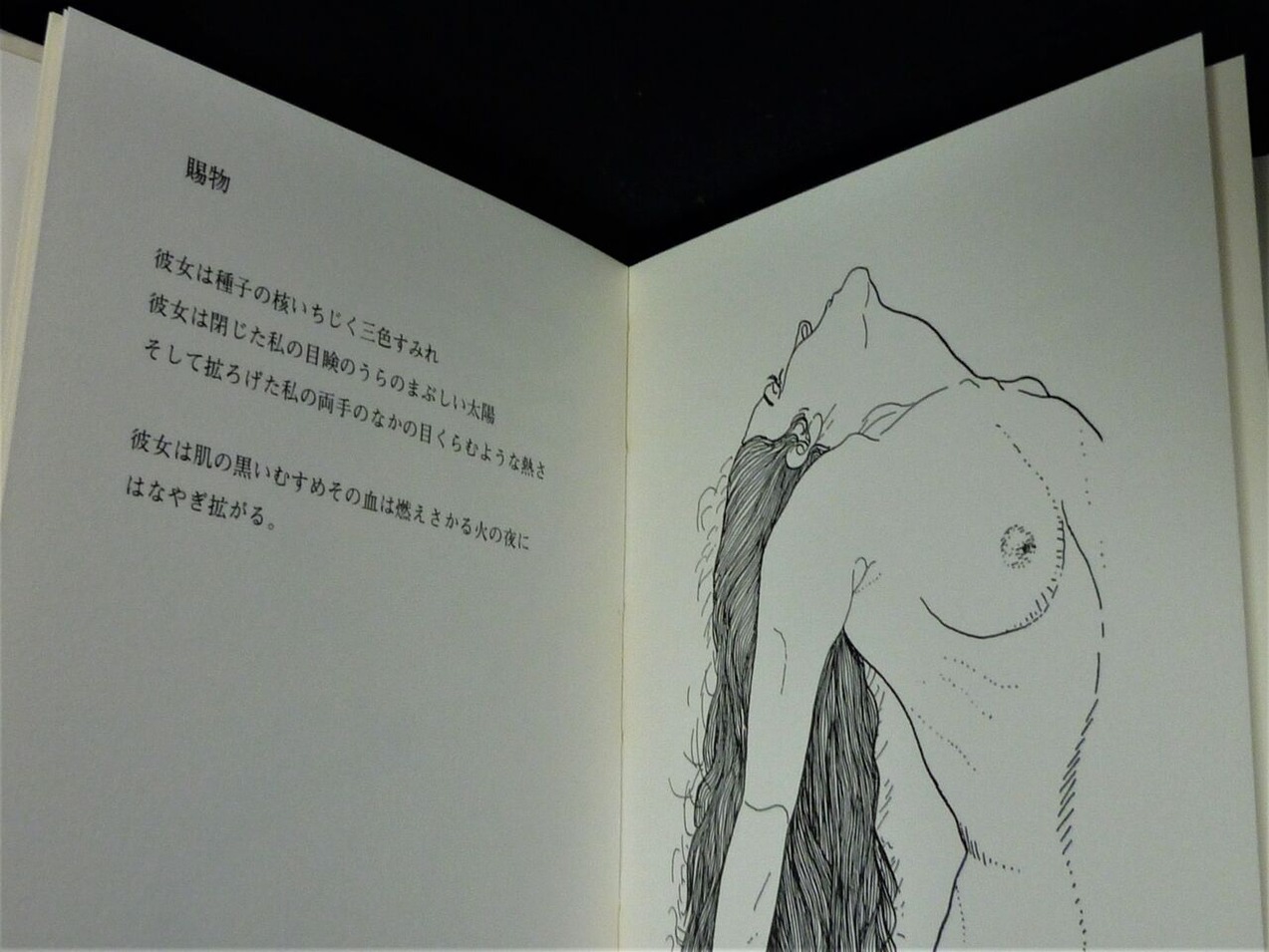 ���ǣ���.Ʊ�塢���Ƥΰ�������53�ǡ�