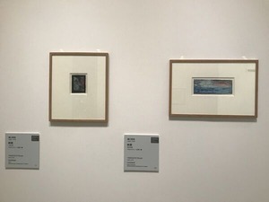 IMG_6224