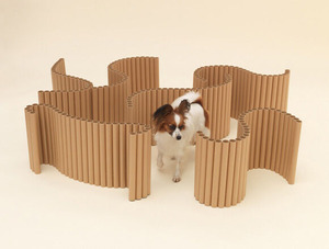 20200926_architecture4dogs_02