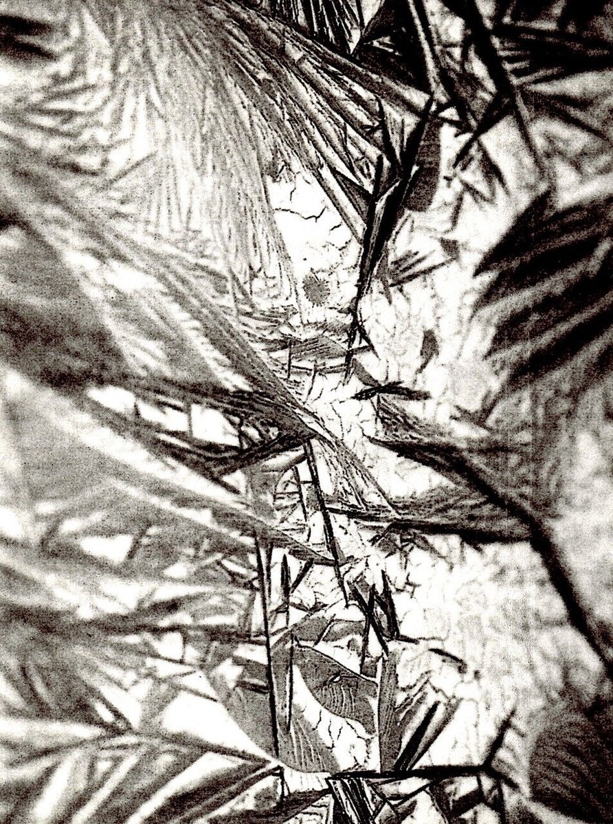 202203伊藤公象002