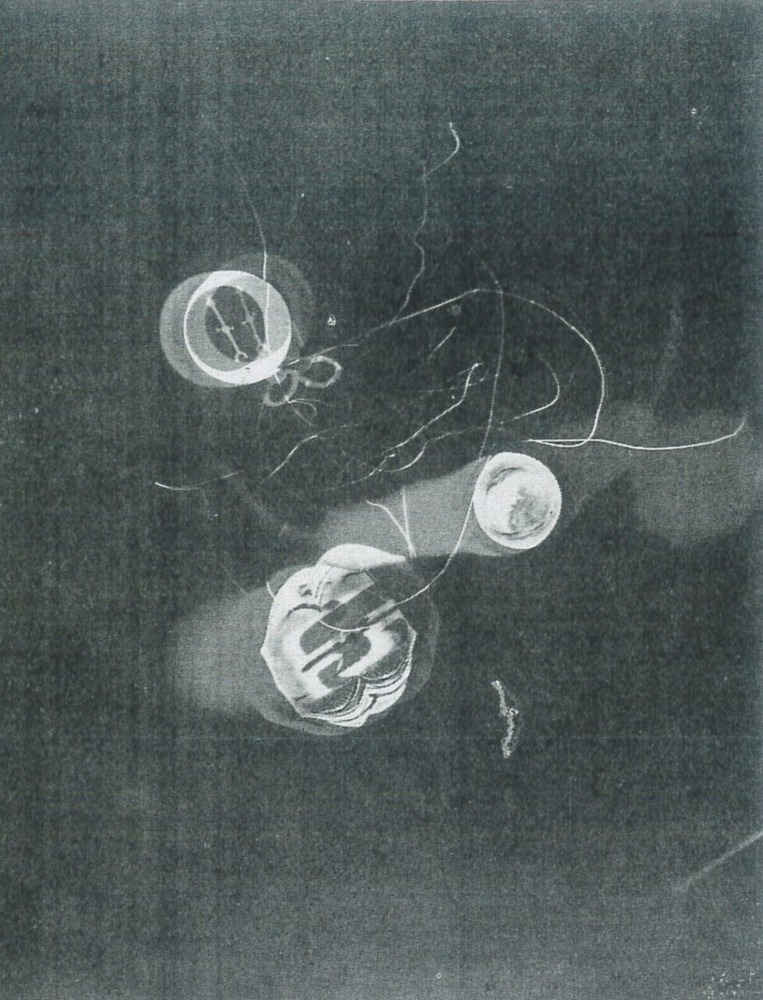 fig.5