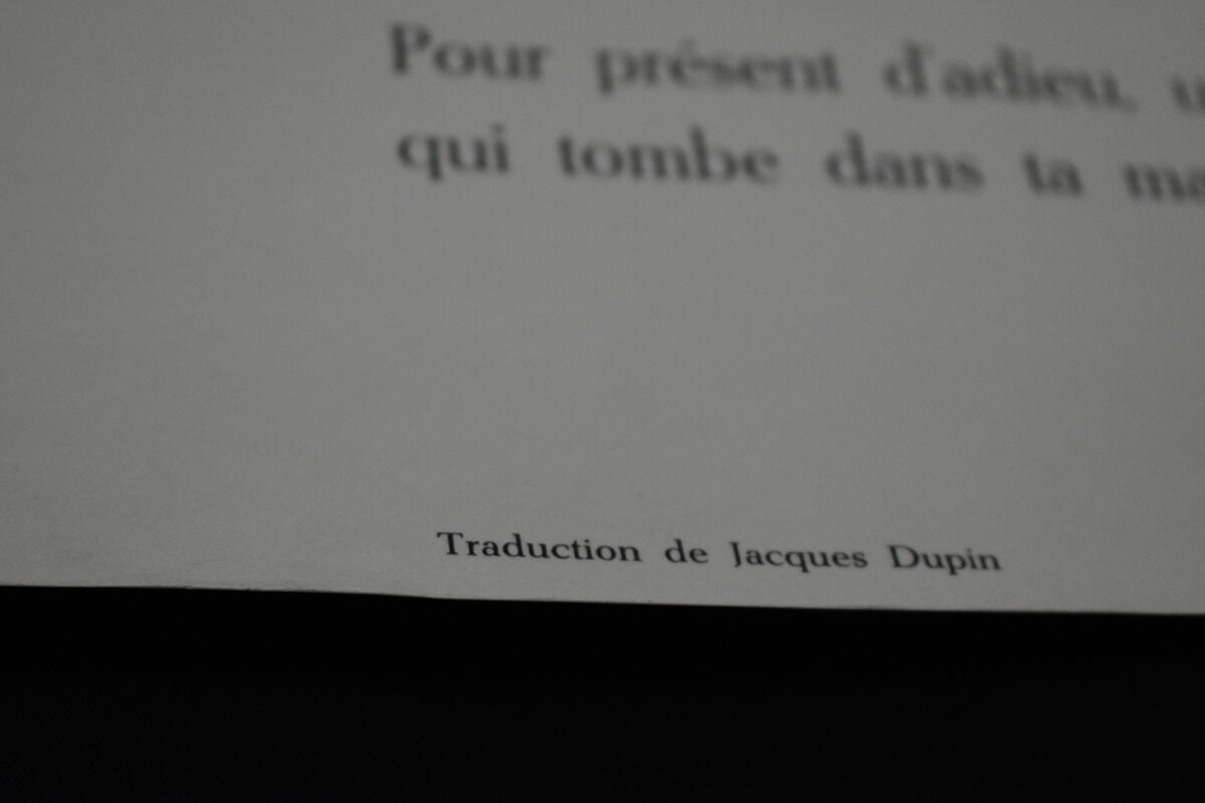 s-AAA_0736