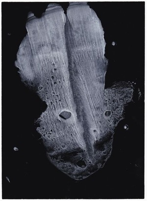 42_III-24