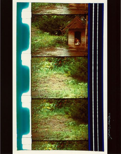 ボローニャ復元映画祭』でジョナス・メカスのボックスセットが受賞