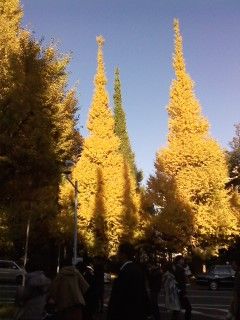 20131130_3