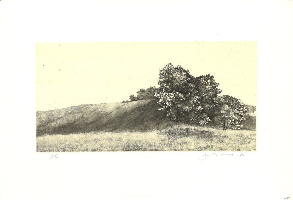 ���Ľ�ˡ�ָ����ǲ�λ���ƻ����12�󡡸�¼�м�