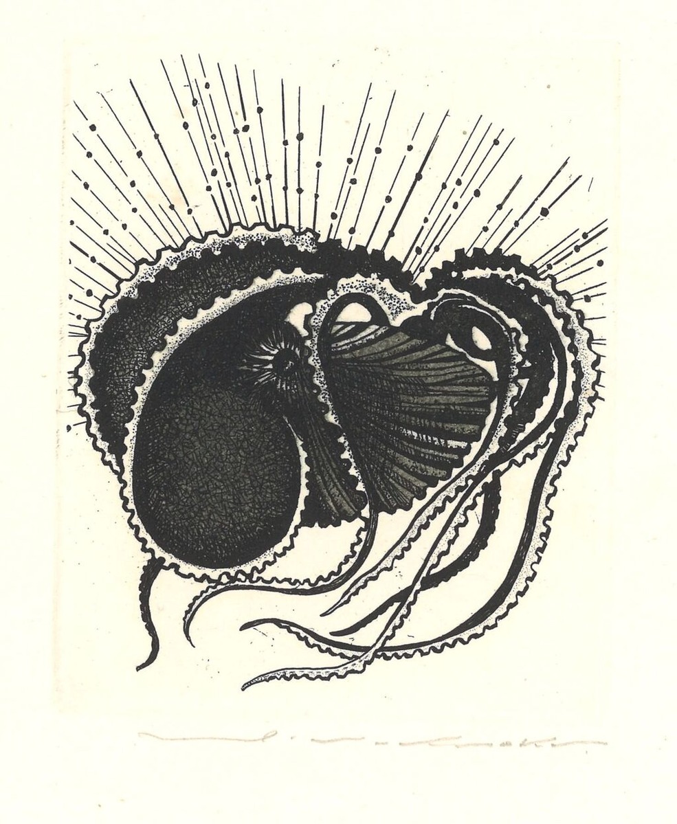 006