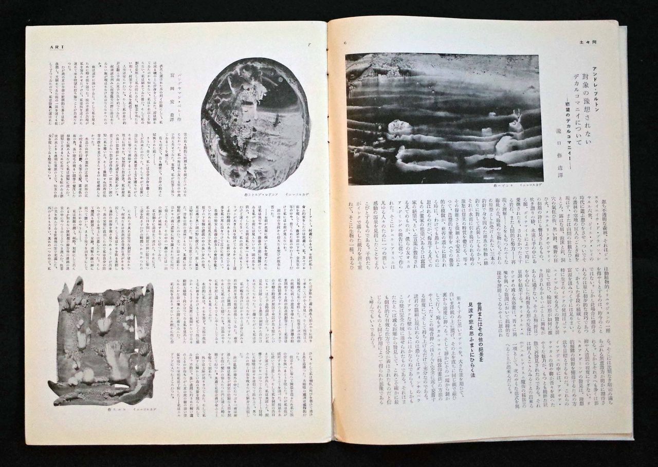 詩人と美術 瀧口修造のシュルレアリスム 図録 チラシ 夏の博物館